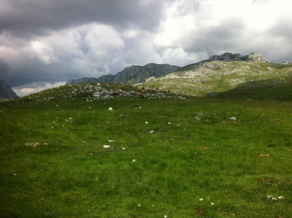 Maison d'hôtes Boskovica Brvnare à Žabljak Extérieur photo