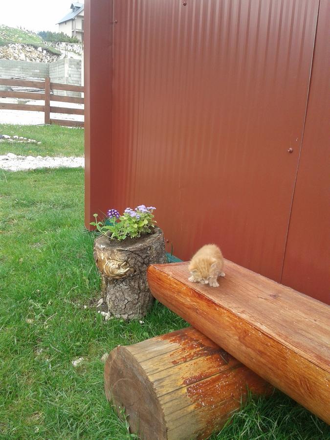 Maison d'hôtes Boskovica Brvnare à Žabljak Extérieur photo