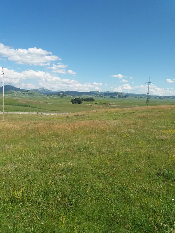 Maison d'hôtes Boskovica Brvnare à Žabljak Extérieur photo